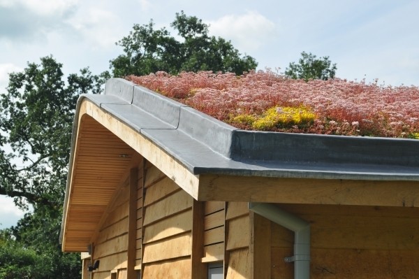 Roof gardening idea by DfM landscape designer