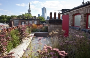 Rooftop terrace London