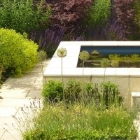patricia fox 2