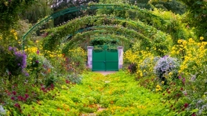 Monet's garden - Giverny, France