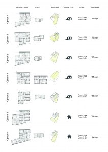 Concept design options