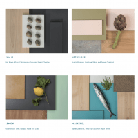 Kitchen colour ideas