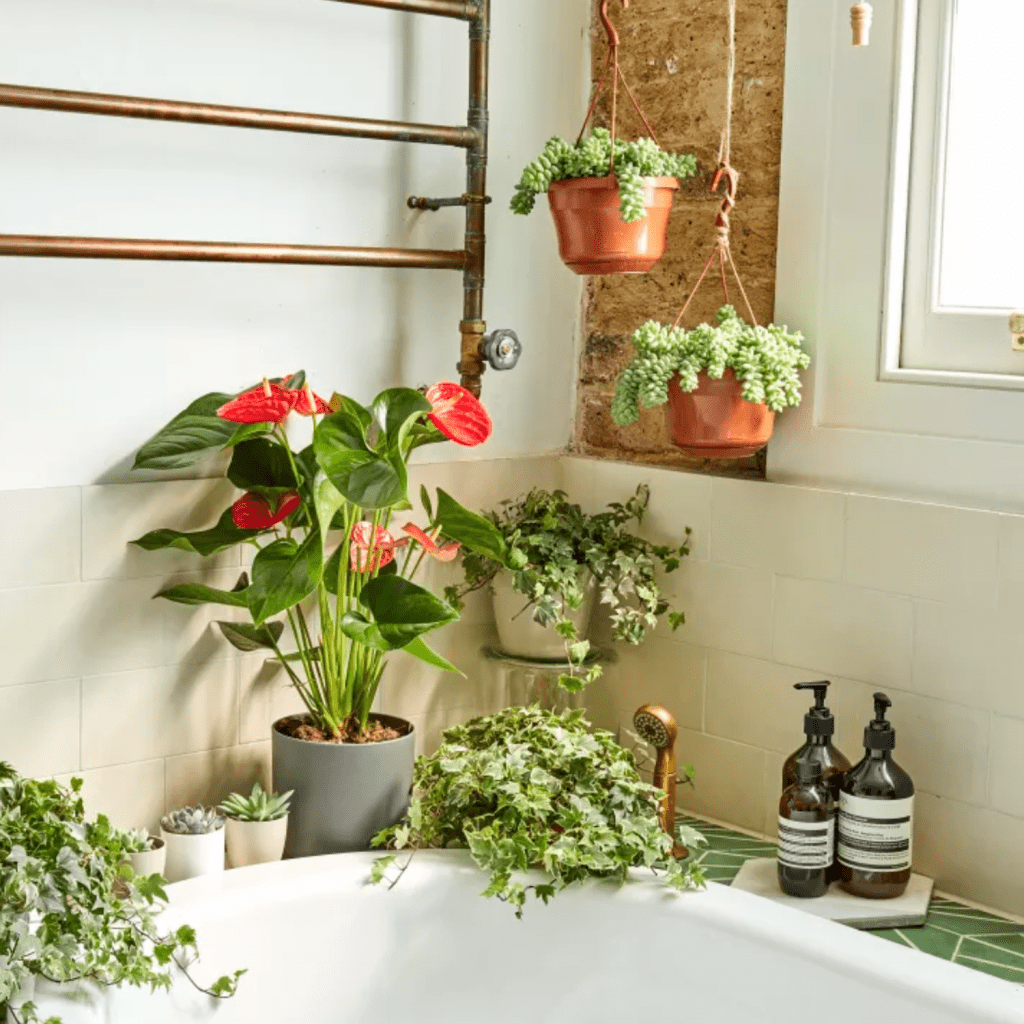 Green plants bathroom