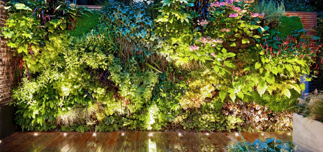 Living wall systems